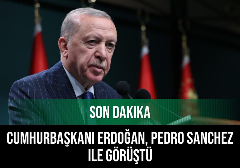 Cumhurbaşkanı Erdoğan, Pedro Sanchez ile görüştü